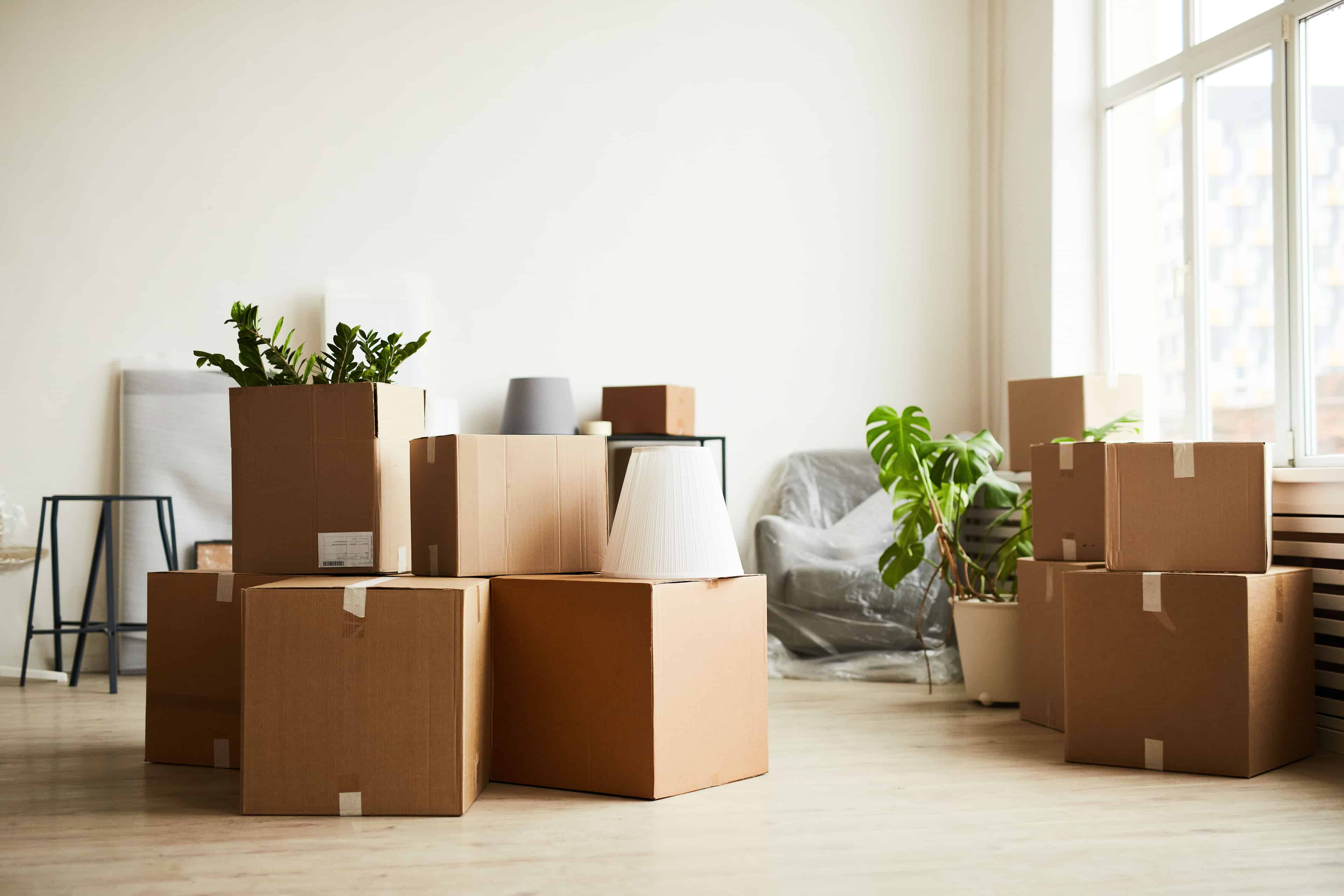 Move-In/Move-Out Cleaning image
