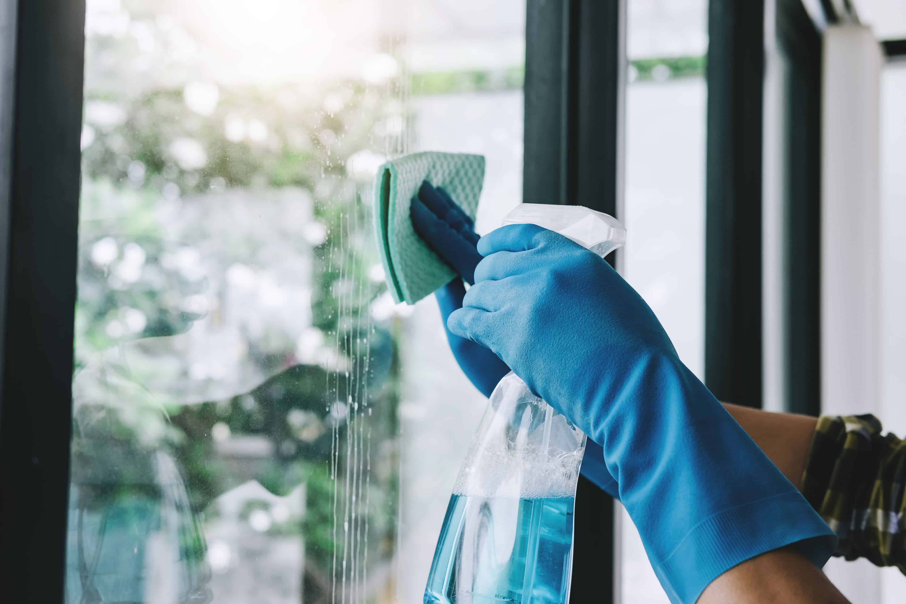 Basic House Cleaning image